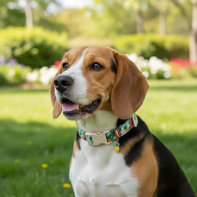 Summer Dog Collar with Tropical Pattern, Cute Dog Collar for Girl Boy Dogs, Pet Collar with Unique Print and Soft Fabric, Suitable for Small Dogs