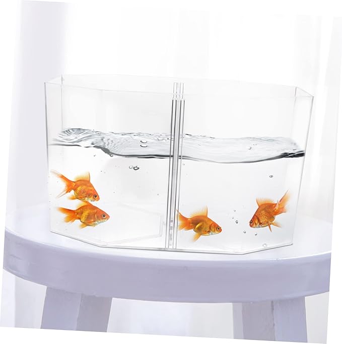 Fish Separation Box Dual Compartment Betta Breeding Tank Removable Divider High Aquarium Isolation Box for Safe Fish Hatching and Spawning