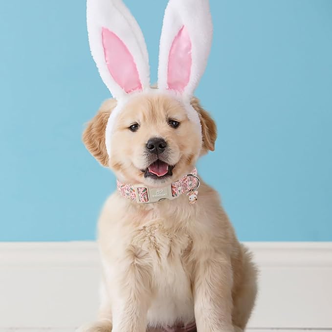 Easter Dog Collar for Small Dogs - Pink Girly Bunny Dog Collars, Cute Girl Dogs Easter Collar, Adjustable Female Spring Holiday Pet Collars with Quick Release Buckle XS