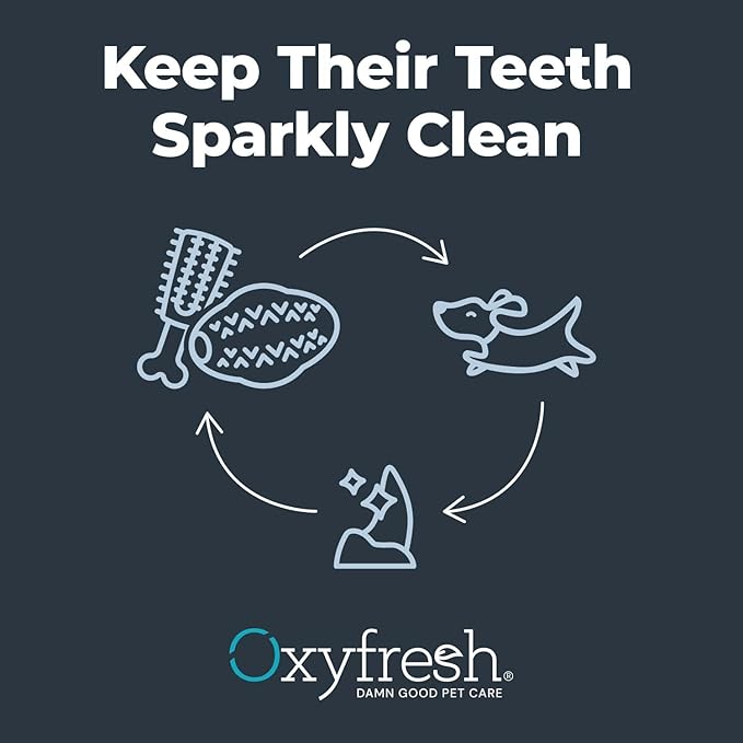Oxyfresh Dog Dental Chew Toy - Best Dog Teeth Cleaning Toy – A Simple Bite and Brush Toy That Helps Remove Plaque, Cleans Teeth & Freshens Breath Without Brushing - Large (Pack of 2)