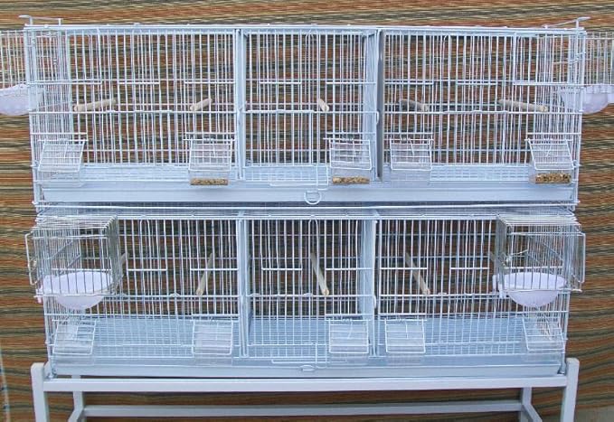 Combo: White Stack & Lock Breeder Bird Flight Cage Breeding Nest Door Double Removable Center Divider with Rolling Stand (38"x11"x15"H LOT-2-STAND, White)