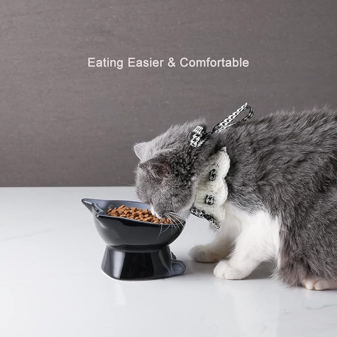 Nihow Elevated Cat/Dog Bowls: 5 Inch Ceramic Raised Cat Food & Water Bowl Set for Protecting Pet's Spine - Feeding & Watering Supplies for Pets - Elegant Gray (4.5 OZ /1 PC)