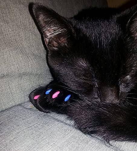 40 Pack Soft Nail Caps for Cat Claws Seafoam Glitter Small