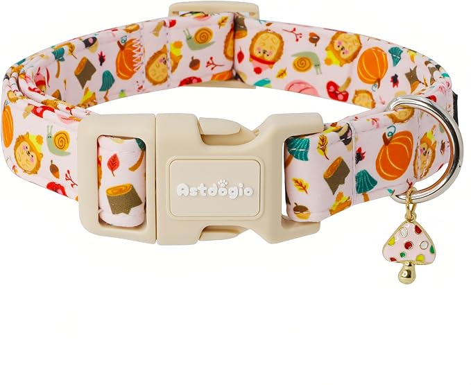 Fall Woodland Dog Collar, Playful Squirrel & Pumpkin Print on White Collar for Small Medium Large Dogs, Breathable, Adjustable & Comfortable Puppy Collar for Fall Walks & Pet Photos-M