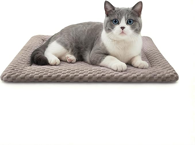 Dog Bed Mat, Dual-Sided Dog Crate Bed Mat - Ultra Soft & Machine Washable Kennel Pad for Cats and Extra Small Dogs, All-Season Comfort Pet Bed for Crates, Travel, and Home, Light Brown, 18 x 14 Inch