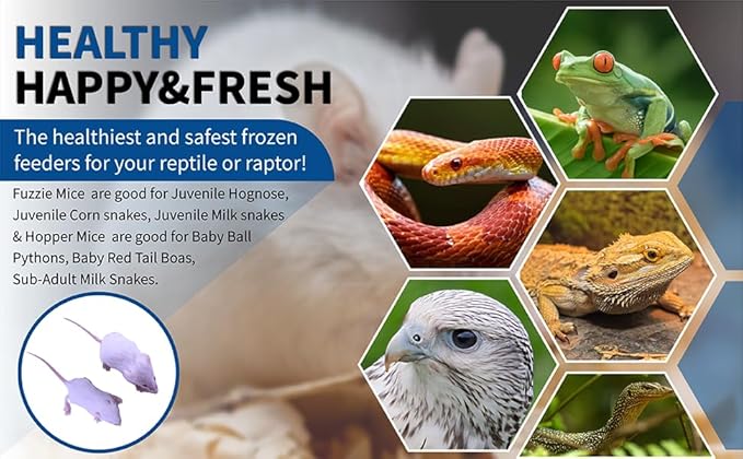 MiceDirect Frozen Mice Combo Pack 75 Fuzzies & 75 Hoppers Frozen Reptile & Snake Food (150 Count)