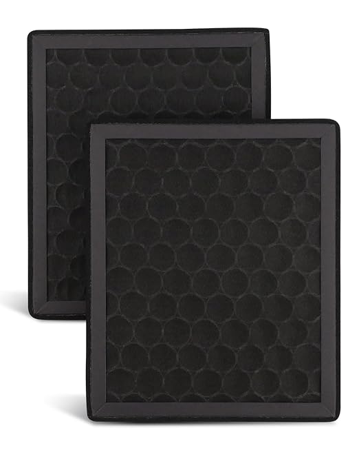 2Pcs Activated Carbon H2D H2S Air Filter Fit
