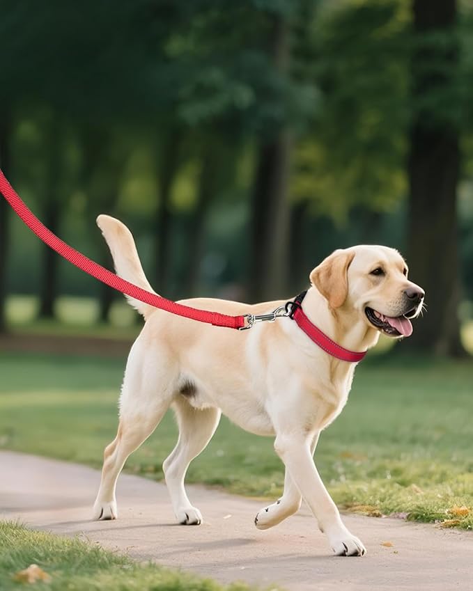 Joytale Large Dog Collar, Reflective and Adjustable Nylon Pet Collar with Quick-Release Buckle for Large Dogs, Red, L