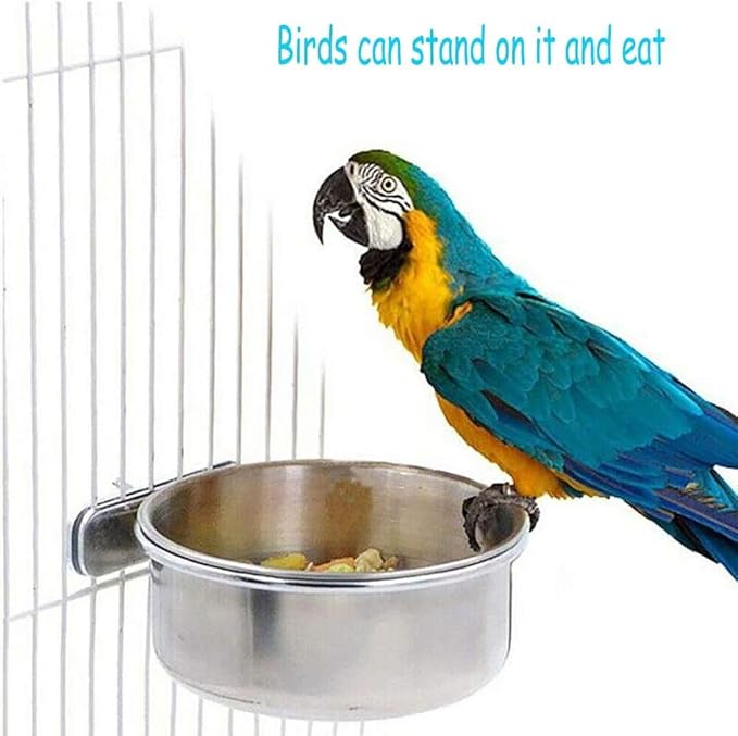 PINVNBY Parrot Feeding Cups Birds Food Dish Stainless Steel Parrot Feeders Water Cage Bowls with Clamp Holder for Cockatiel Conure Budgies Parakeet Parrot Macaw Small Animal Chinchilla Pack of 6