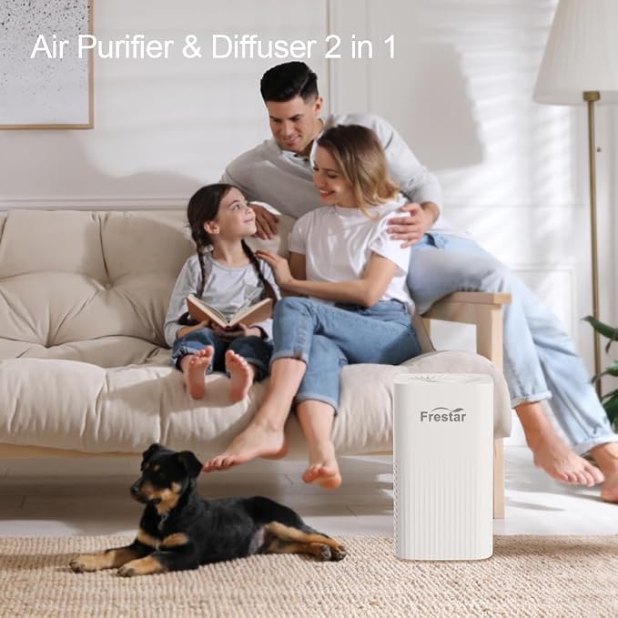 Small Air Purifier and Diffuser 2 in 1