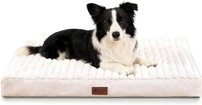 Orthopedic Dog Bed with Firm High-Density Egg Crate Foam,Soft Short Plush Surface Pet Beds,Machine Washable with Removable Cover & Non-Slip Bottom for Medium/Large Breeds (Beige, 35"L x 22"W x 3"H)