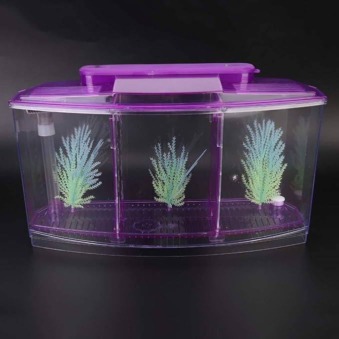 Aquarium Tank, Three Divisions LED Acrylic Fish Tank, Desktop Aquarium | Portable Fish Tank | Travel Fish Tank | Cool Fish Tank | Breeding Isolation Box Fishtank for Baby Fish