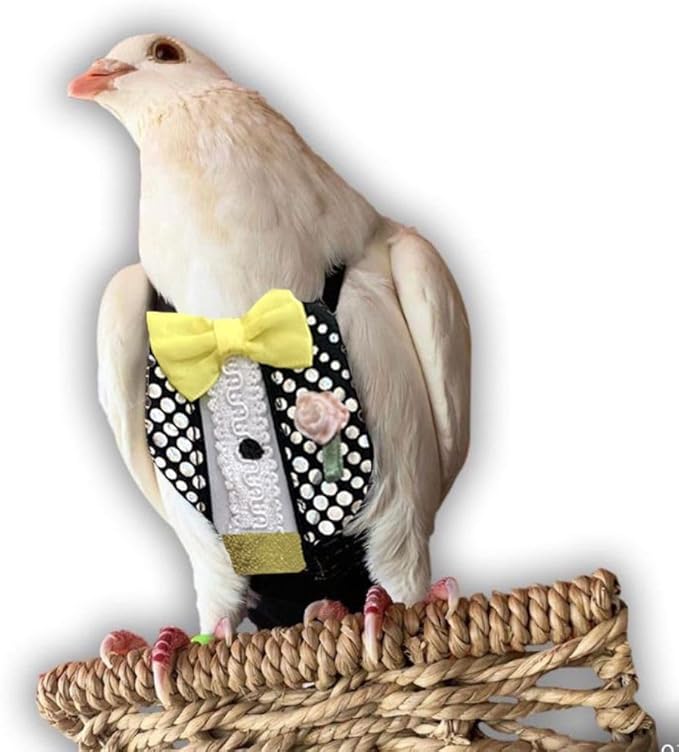 Bev's Bird Boutique Regular Flyper Adjustable Bird Diaper | Reusable, Washable Cloth | Comfort Fit for Parrot, Cockatiels, & Other Small Birds | Fashionable Avian Accessories, Retro Tux, Size 14