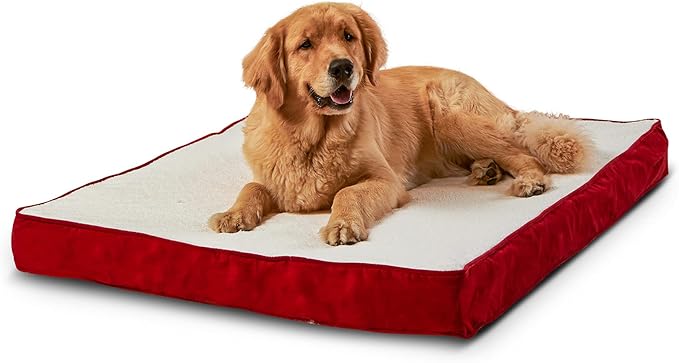 Happy Hounds Oscar Rectangle Orthopedic Foam Sherpa Dog Bed, Large (48 x 36 in.), Red