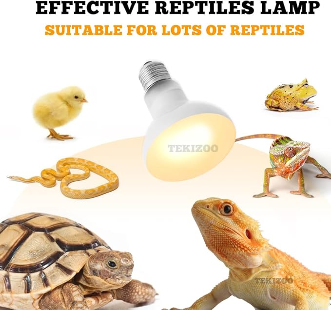 Reptile Heat Lamp Basking Spot Bulb UVA Daylight Light for Amphibian,Lizard,Tortoise,Bearded Dragon 100W(4 Pack)