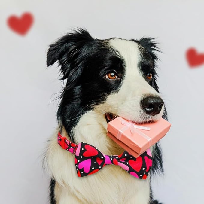 Valentine’s Day Dog Collar Adjustable Puppy Collar with Red & Pink Heart Pattern, Cute Pet Accessories for Small Medium Large Dogs