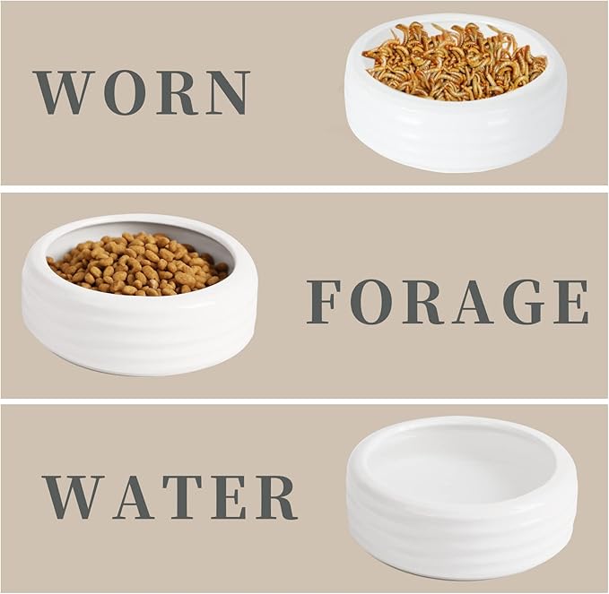 Reptile Food Bowls Ceramic Mini Round Reptile Water Food Dish, Pet Food Bowl for Lizards, Small Snakes, Young Bearded Dragons, Gecko Tortoise Spider (White, Small-2Pack)