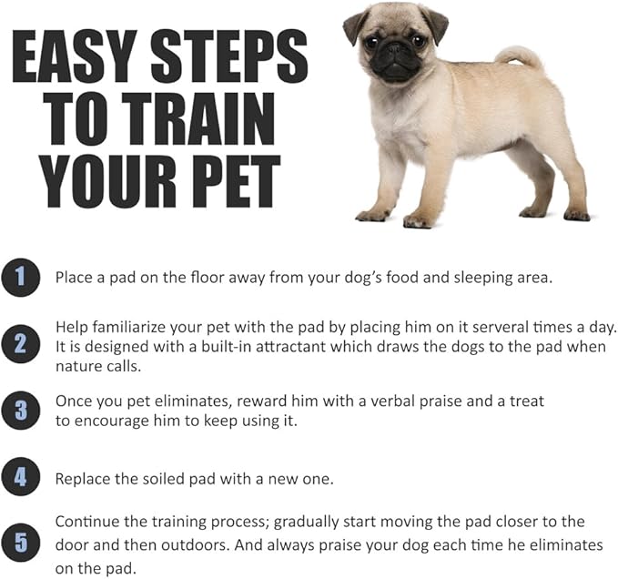 BV Pet Potty Training Pads for Dogs Puppy Pads, Pee Pads, Quick Absorb, 22" x 22" Training Pad, 50 Count Dog Pee Pads, Doggie Pads, Disposable Puppy Pee Pads