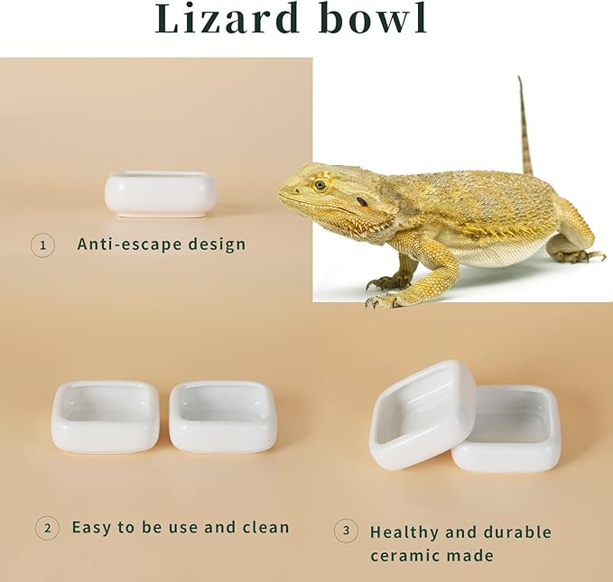 Reptile Food Bowls Ceramic Square Reptile Water Food Dish, Pet Food Bowl for Lizards, Young Bearded Dragons, Small Snakes, Gecko Tortoise Spider (White, Medium-1Pack)