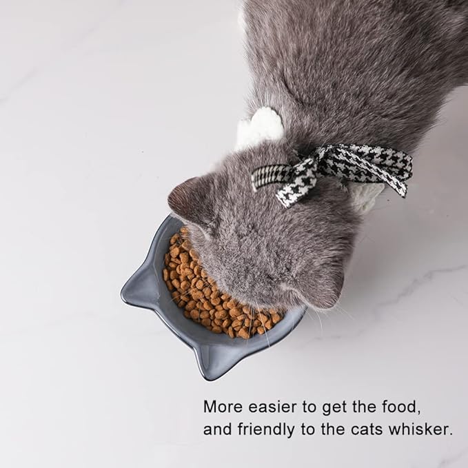 Nihow Elevated Cat/Dog Bowls: 5 Inch Ceramic Raised Cat Food & Water Bowl Set for Protecting Pet's Spine - Feeding & Watering Supplies for Pets - Elegant Gray (4.5 OZ /1 PC)