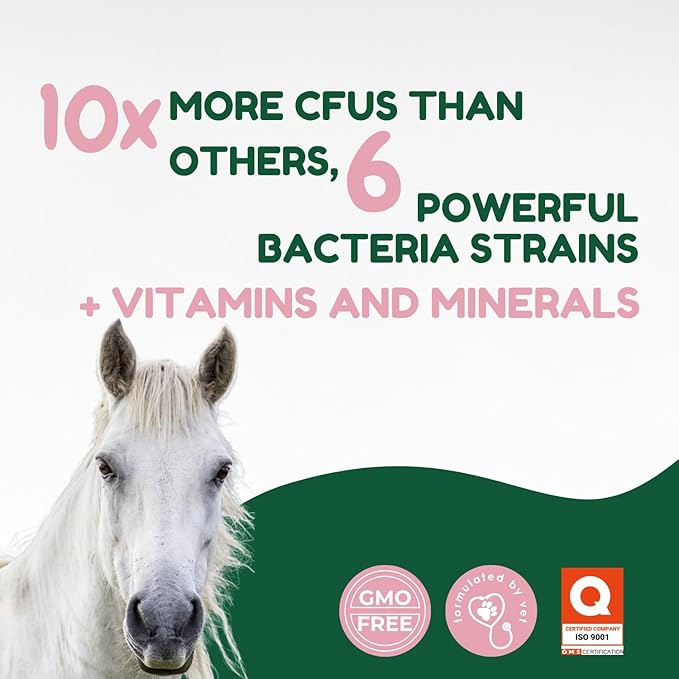Horse Pre & Probiotic Paste (30 Pack, 80cc Each), Horse Paste Pre and Probiotics +Vitamins & Minerals- 4 Strains and 8 Billion CFU per Serving- Immune and Gastro Health Support for Equines