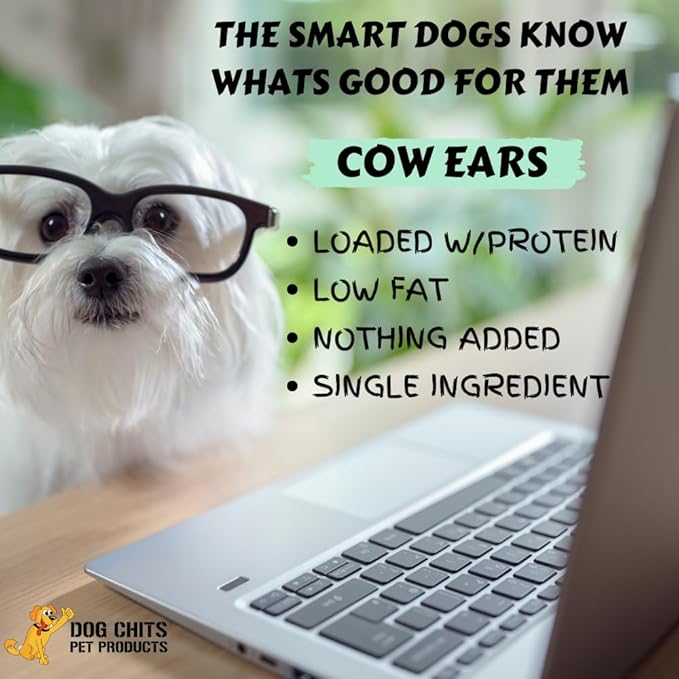 Dog Chits Cow Ears for Dogs – All Natural Cow Ear Dog Treats & Training Chews – High Protein, Low Fat – Thick Cut, Half Ears – Dental Clean Crunch – Ideal for Medium & Large Dogs – Large, 10 Pk