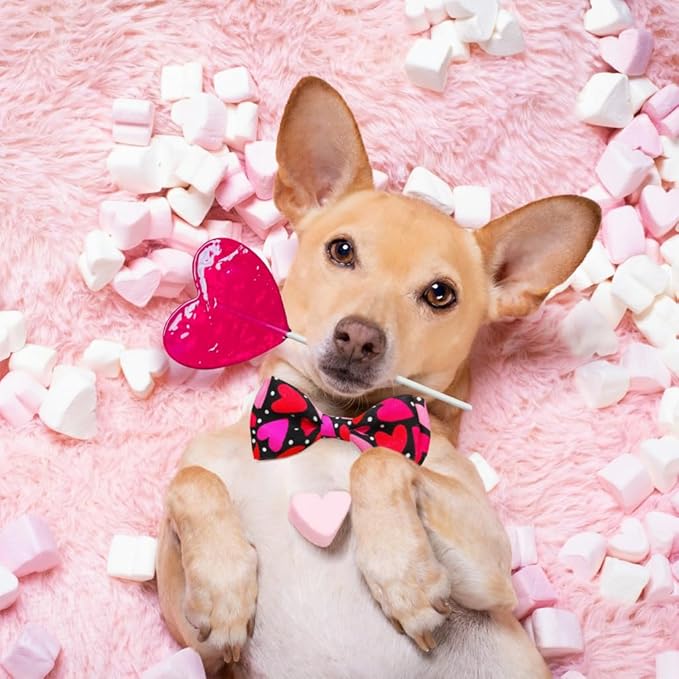 Valentine’s Day Dog Collar Adjustable Puppy Collar with Red & Pink Heart Pattern, Cute Pet Accessories for Small Medium Large Dogs