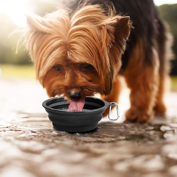 Kytely Large Collapsible Dog Bowls 2 Pack, 34oz Foldable Dog Travel Bowl, Portable Pet Water Food Bowl with Clasp, Pet Cat Feeding Cup Dish for Traveling, Walking, Hiking (Black+Black)