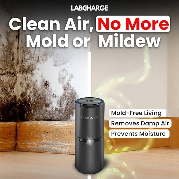 LabCharge Small Ionic Air Purifier
