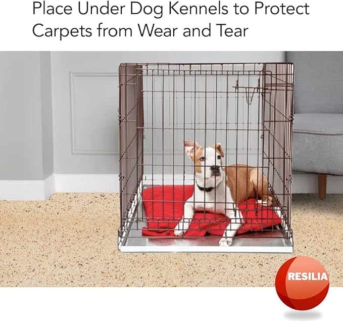 RESILIA Under Pet Cage Mat for Bird Cages, Reptile Aquariums, Dog Kennels, Water-Resistant Pad for Carpeted Floors and Surfaces, 30 Inches x 48 Inches, Clear