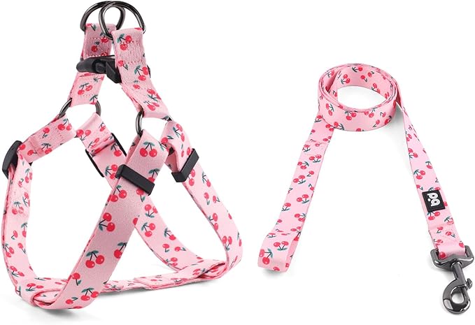 QQPETS Dog Harness Leash Set Adjustable Heavy Duty No Pull Halter Harnesses for Small Medium Large Breed Dogs Back Clip Anti-Twist Perfect for Walking (M(19"-26" Chest Girth), Sakura Pink)