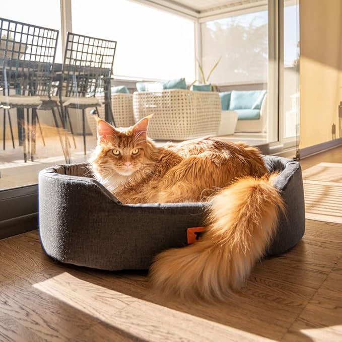 Ferplast Dandy Cat and Dog Bed, Cotton/Fur, 55 x 41 x 15 cm