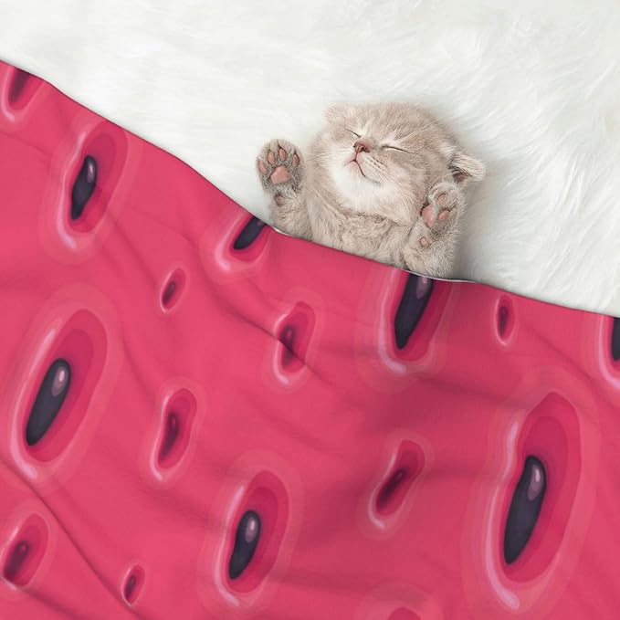 Double Sided Plush Pet Blanket with Cozy Dot Texture and Smooth Reverse, Pink Watermelon, Reversible Throw for Dogs Cats on Couches Beds Crates