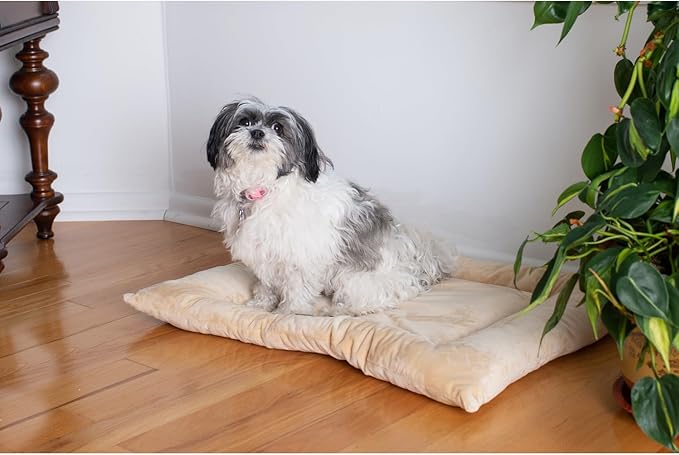 Plush Pet Bed Mat - Cozy Dog Bed, Cat Bed - Machine Washable, Fluffy Comfort - 27" x 19" Beige