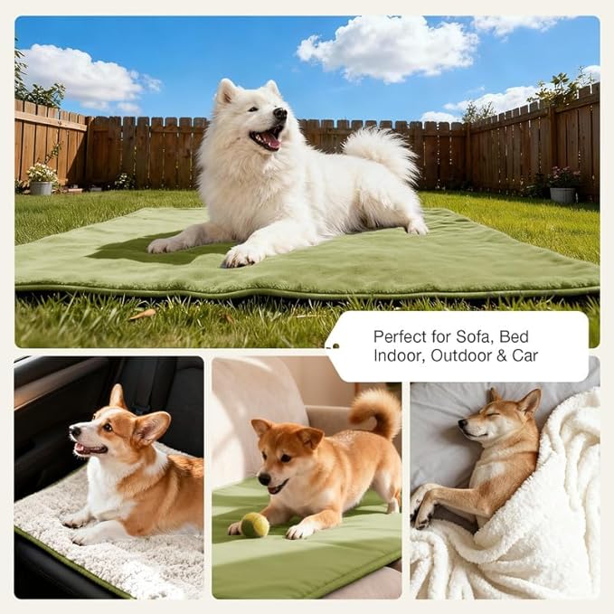 Lekereise Reversible Waterproof Dog Blanket, Super Soft Couch Cover for Dogs, Washable Leak-Proof Protector for Sofa Bed Car Seat, for Cats to Large Dogs (Green, 35" x 50")