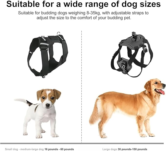 Pet Camera Harness,Adjustable Pet Secure Bracket - Puppy Camera Strap Harness Holder,for Small Medium Large Outdoor Walking Training Daily Travel Sports