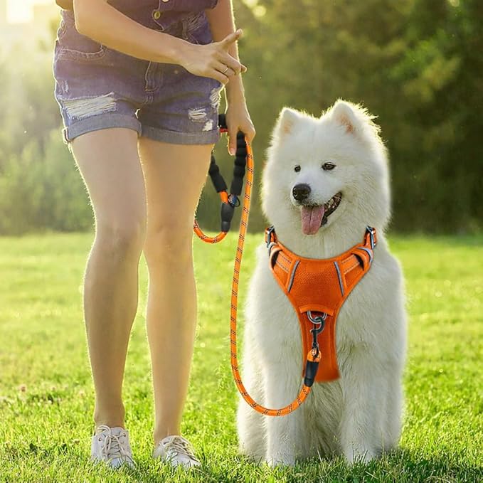 BARKBAY Dog Harness No Pull Oxford with ID Tag Pocket - Heavy Duty, Reflective, Easy Control for Large Dogs(Pumpkin Oxford,XS)