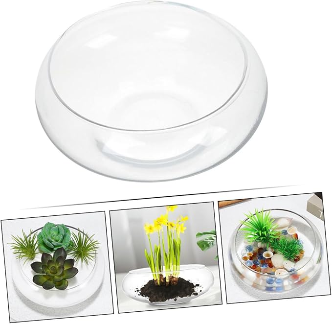 Milisten Flowerpot Micro Landscape Fish Tank Glass Flower Pots Fish Tank for Desk Glass Bowl Hydroponic Plant Pot Keeper Planter Pots Bonsai Planter Succulents Pot Planters