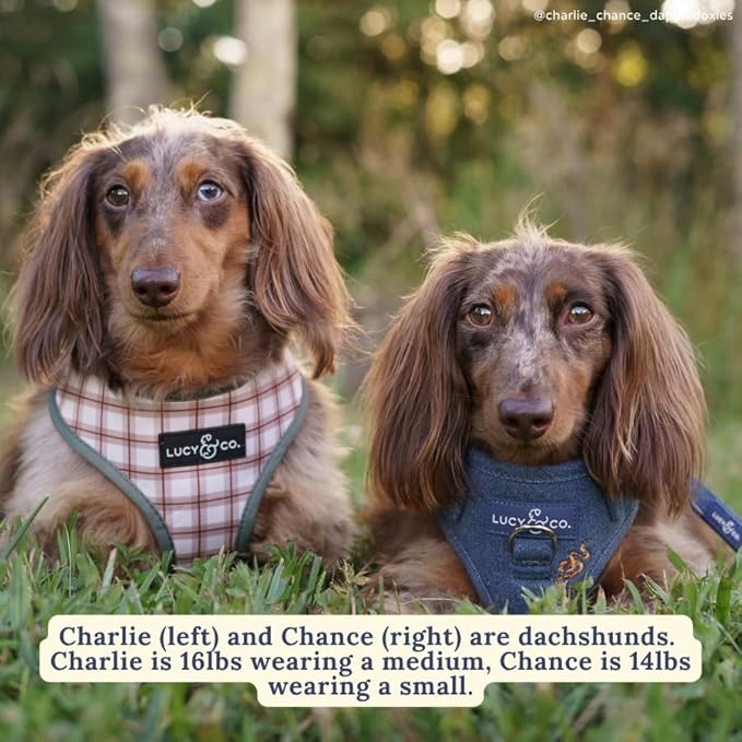 Lucy & Co. Cute Reversible Dog Harness Walking Halter - Best Designer Pet Harnesses for XS - XL Dogs - Padded Adjustable Vest for Easy Walking-XLarge-Green Outdoor Plaid