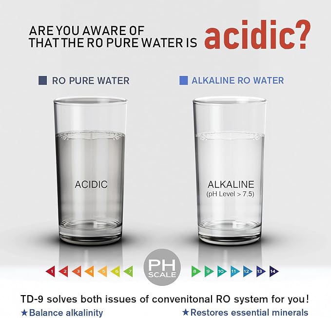 Frizzlife TD-9 Alkaline Remineralization Under Sink Inline Water Filter