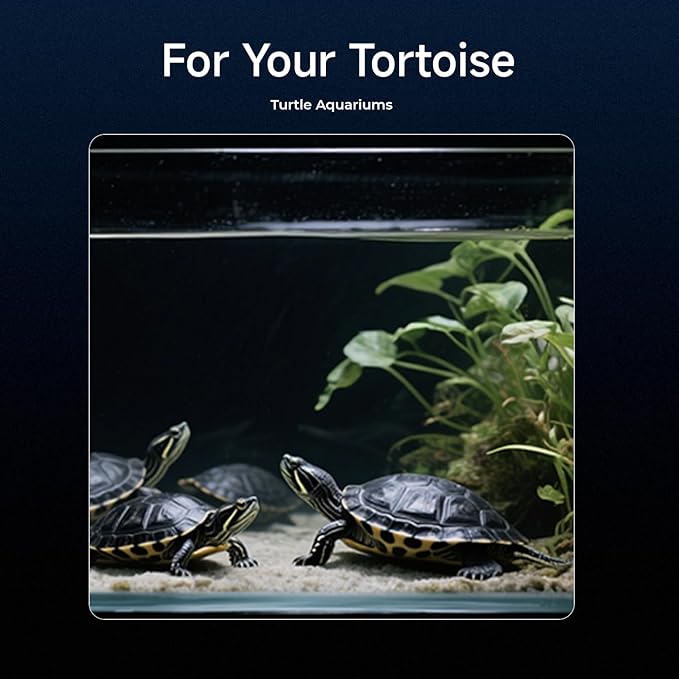 2K HD Turtle Terrarium & Tank WiFi Camera, 140° Wide-Angle Anti-Glare Lens, Night Vision, Two-Way Audio, AI Motion Alerts, 24/7 Recording, Easy Stick-On Install for Pet Turtles