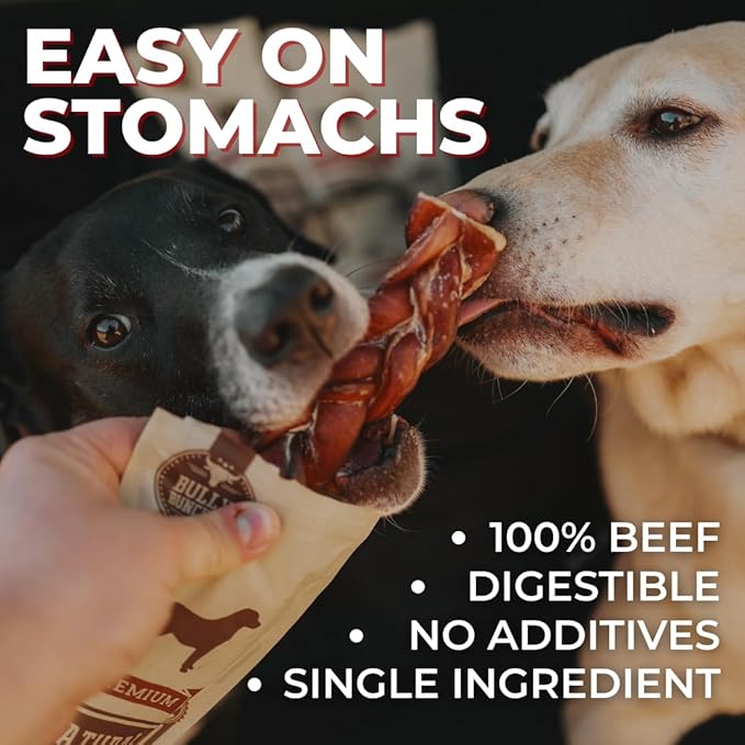 Bully Bunches Premium 6 Inch Thick Odor-Free Bully Sticks for Small & Medium Dogs - Consistently Sized, Long Lasting Chews for Oral Care- All Natural & Single Ingredient, 100% Beef Dog Treat (20 Pk)