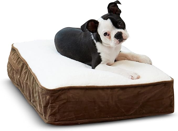 South Pine Porch Buddy Reversible Rectangle Pillow Style Microfiber and Sherpa Dog Bed with Removable, Machine-Washable Cover, Latte Sherpa, Extra Small (24 in. x 18 in.)