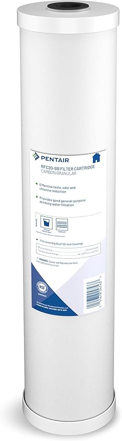 Pentair Pentek RFC-20BB Big Blue Carbon Water Filter, Whole House Heavy Duty