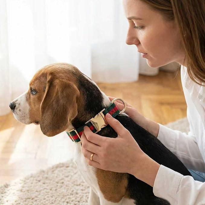 Premium Dog Collar, Cute Dog Collars Luxury Style, Durable Pet Collars with Metal Buckle Safety for Big Dogs