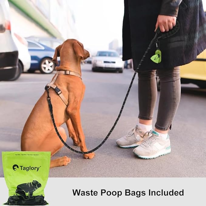 Taglory Rope Dog Leash 6 FT with Comfortable Padded Handle, Highly Reflective Threads Leash and Anti-Tangle Clip for Walking Small Dogs, 3/8 inch, Black