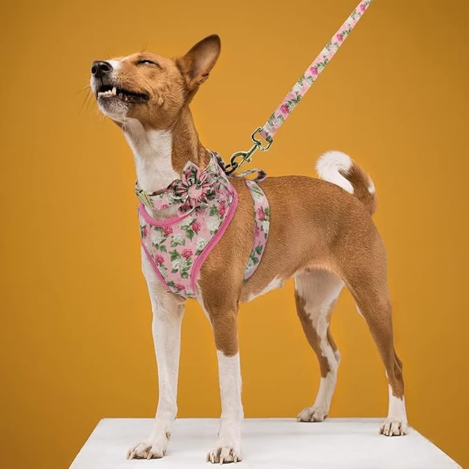 Beirui Cute Girl Dog Collars, Harnesses & Leashes Set - Adjustable Dog Collar and Leash Set with Flower - Soft Mesh Dog Vest Harness for Puppies Small Medium Dogs (Pink,M)