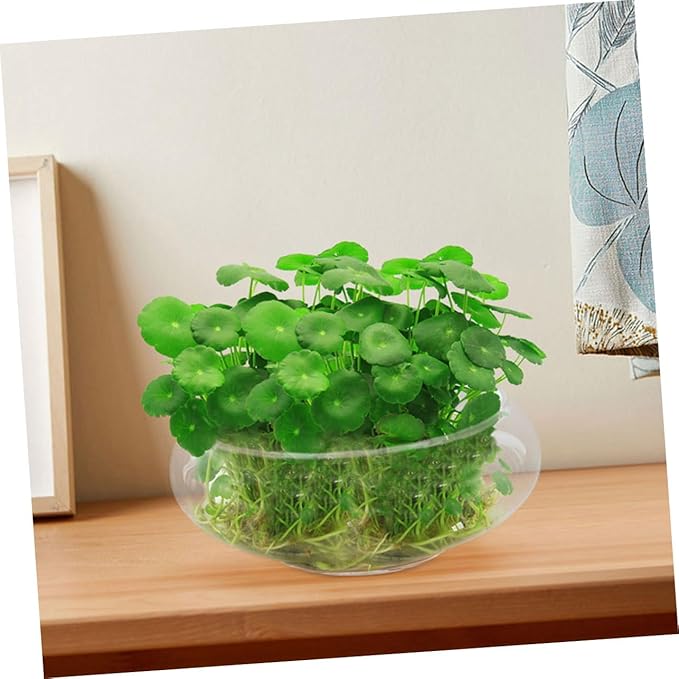 Milisten Flowerpot Micro Landscape Fish Tank Glass Flower Pots Fish Tank for Desk Glass Bowl Hydroponic Plant Pot Keeper Planter Pots Bonsai Planter Succulents Pot Planters