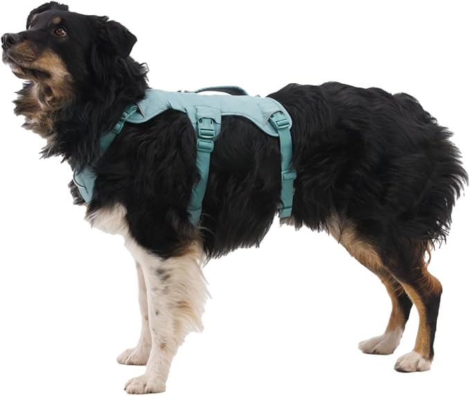 Ruffwear, Web Master, Multi-Use Support Dog Harness, Hiking and Trail Running, Service and Working, Everyday Wear, Red Canyon, X-Small