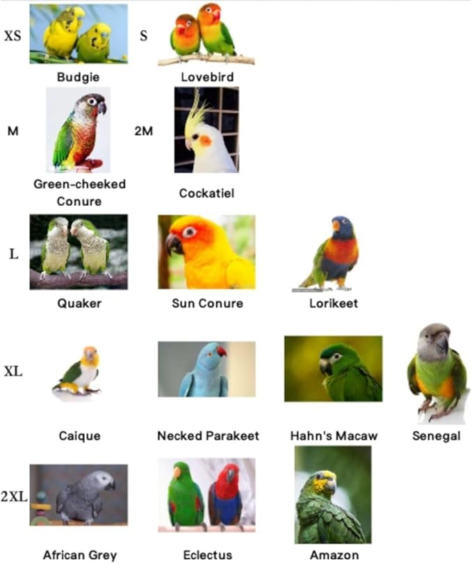 Bird Flight Harness Vest, Parrot Flight Suit with Leash, Bird Flying Clothes with Rope and Handle for Outdoor Activities (S)